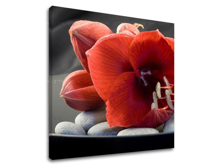 Obraz na stěnu FENG SHUI FS032E12 - 60x60 cm moderní obrazy na plátně